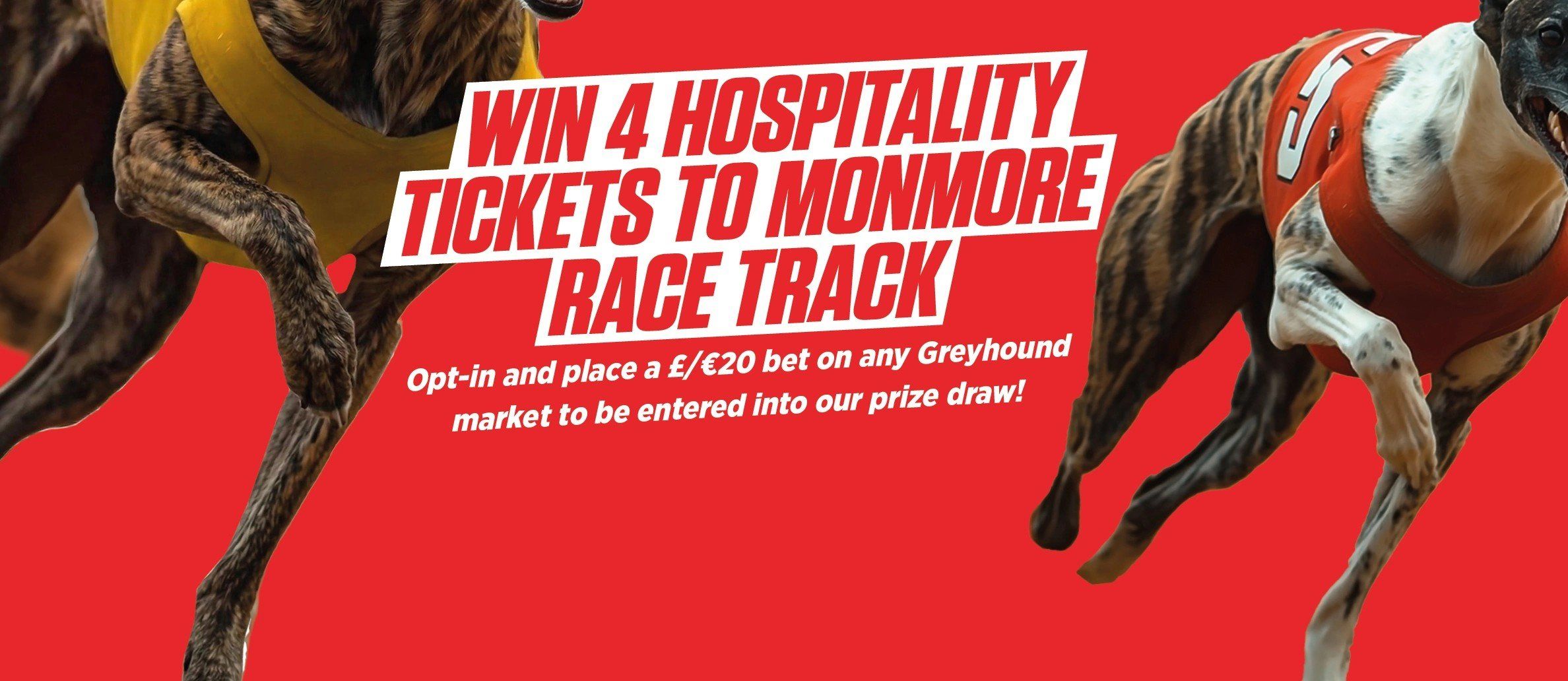 LADBROKES_bannerS_0805-3